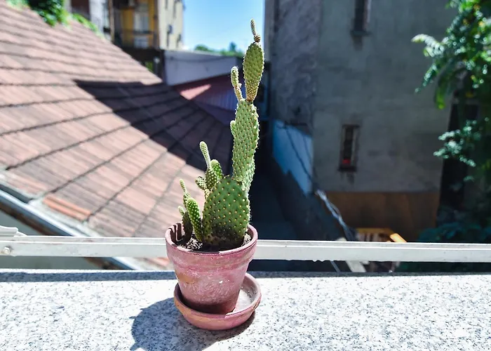Cosmopolitan Apartment